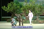 桃花开了