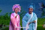 山伯访友