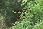 七世夫妻 上集