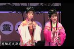 红丝错