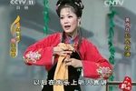 孙成打酒