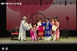 红丝错
