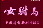 女驸马