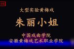 朱丽小姐