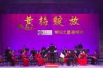天仙配 全本·经典版下载