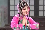 双玉蝉