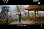 凤还巢 全剧