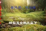 姊妹易嫁