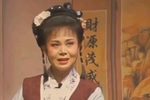 双玉蝉