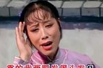 李二嫂改嫁 全剧