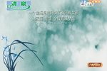 兰桂飘香