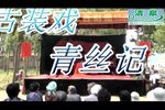 青丝记