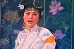 郑盈盈 全剧