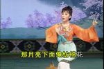 喝面叶 石榴开花红似火