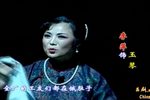 乱世鲁商