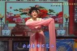 贞娘怨 第三场 误应亲事