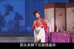 双玉蝉