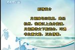 玩会跳船