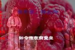 姊妹易嫁 节选
