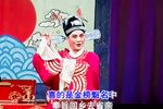 龙凤面 梁子玉心愁闷·董家岭唱段