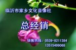 沂蒙小调 望情郎 全集