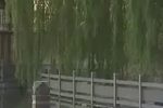 十二盼下载