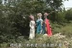 穆桂英下山 第九部