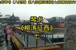 柳涛征西 七