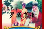 罗成算卦