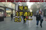 罗通扫北 十一