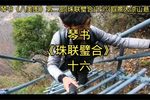 珠联璧合 十六