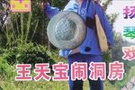 王天宝下苏州 共三部19集