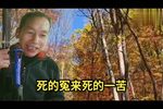老鼠告猫 上集