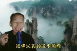 时来时去