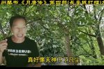 长安城打擂 九