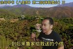 珠联璧璧合 下集