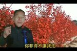杨秀英卖儿 上