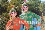 杨八姐游春