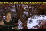 大破东平府 十四
