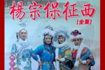 杨宗保征西 共2部19集