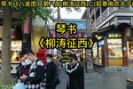 柳涛征西 二