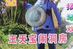 王天宝下苏州 下集