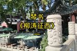 柳涛征西 一