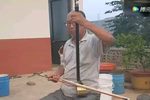 蛤蟆告状