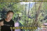 三打武家寨 十六