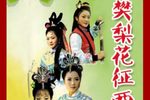 樊梨花征西