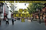 柳涛征西 第五集