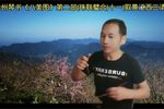 珠联璧合 第十一集
