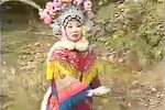 琴书三请樊梨花 第八集下载