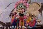 杨家将 第九部之穆桂英下山4